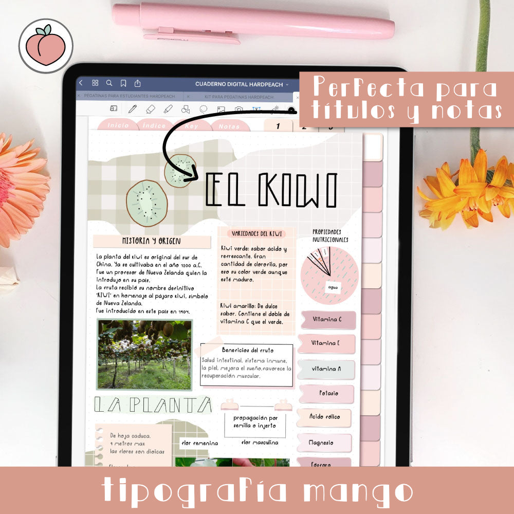 TIPOGRAFÍA MANGO | TRAZOS RECTOS Y MODERNOS PARA TÍTULOS Y ENCABEZADOS